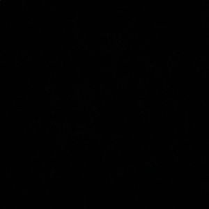 Meet your Posher, Ava